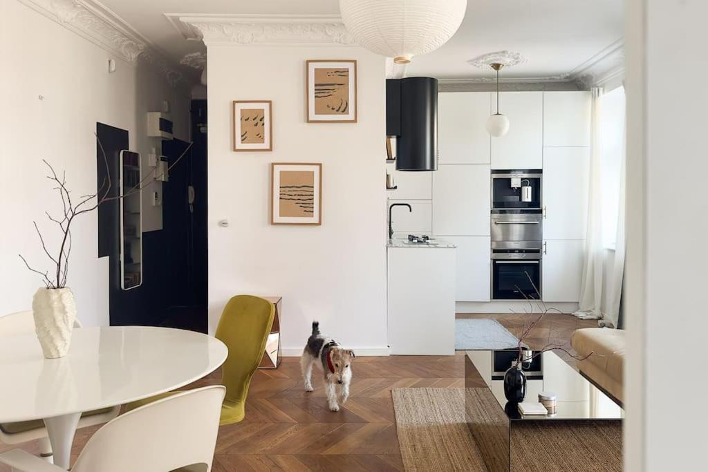 Apartment Mid-century, Artistic Apartment, National Stadium