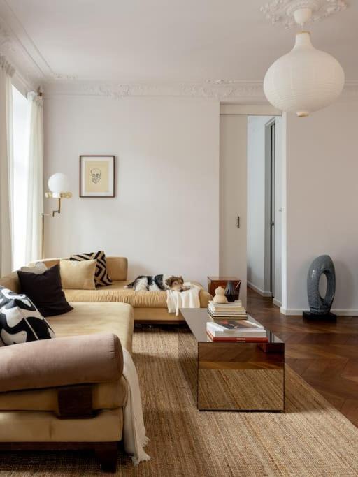 Apartment Mid-century, Artistic Apartment, National Stadium