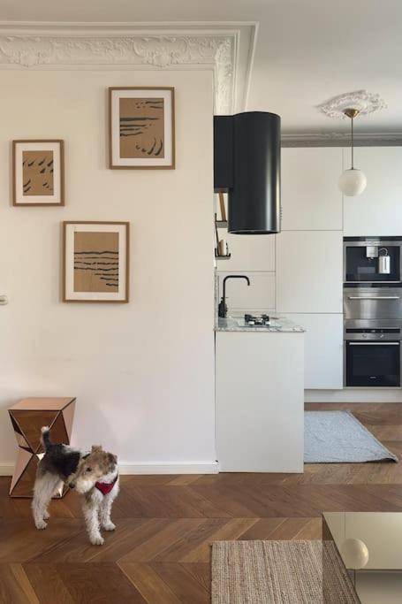 Apartment Mid-century, Artistic Apartment, National Stadium